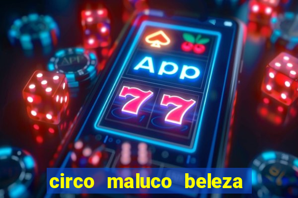 circo maluco beleza recife circo maluco